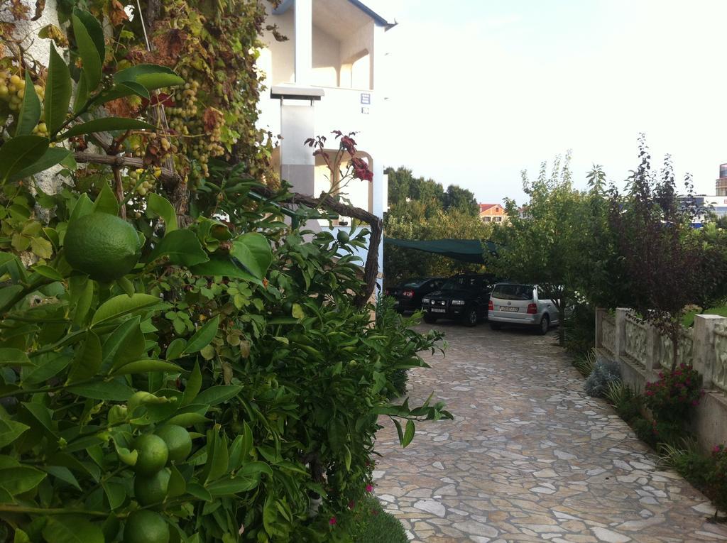 Guest House Ana Zadar Ngoại thất bức ảnh